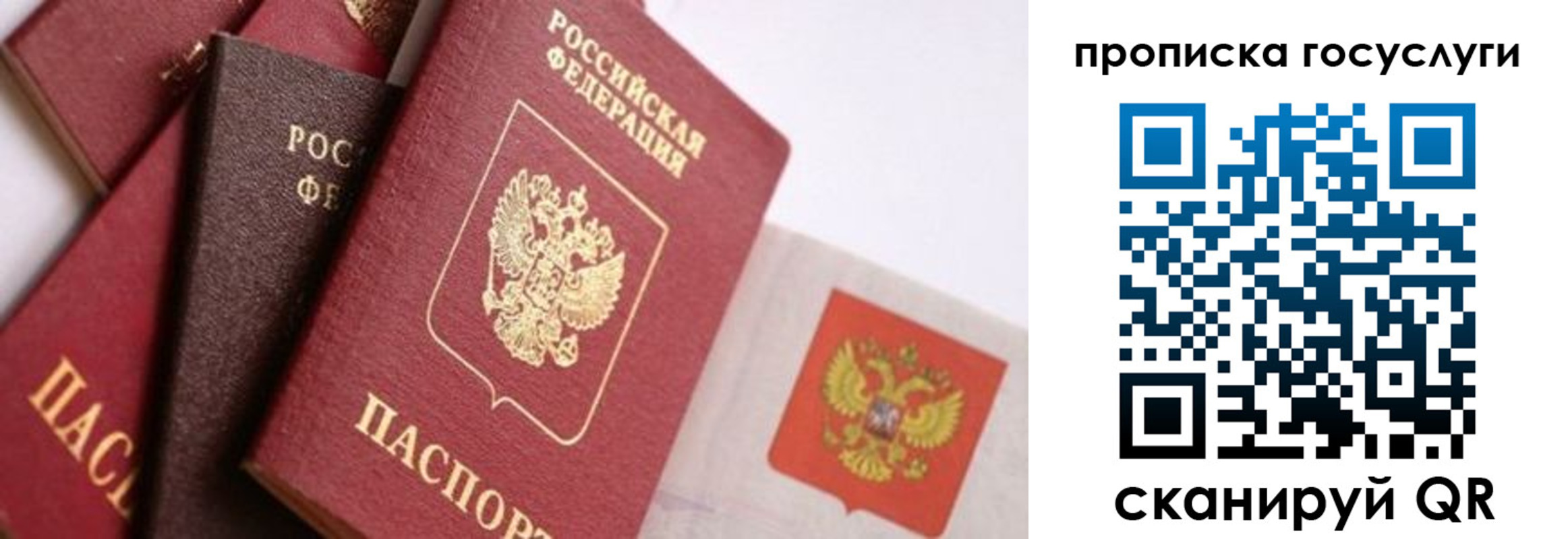 прописка законно в Талице